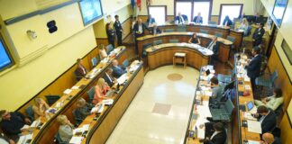 Relazione Osservatorio violenza donne Veneto, MovimentiAMOci Vicenza: “Dati vanno integrati” Consiglio Regione Veneto Osservatorio Violenza Donne relazione