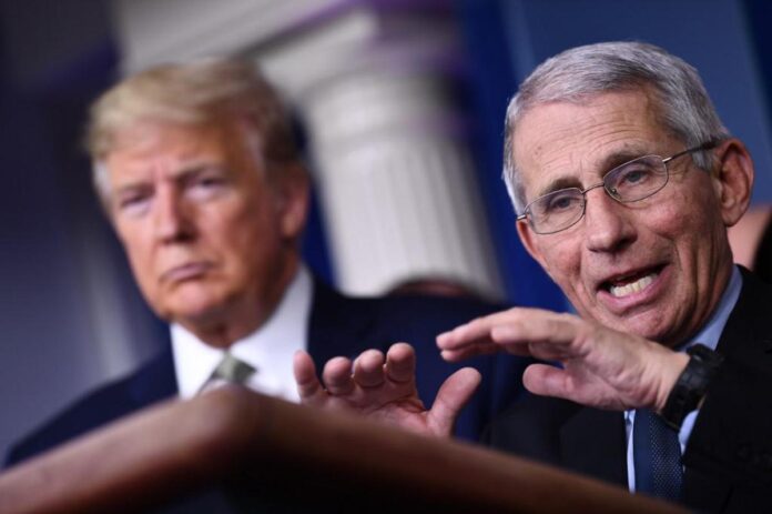 Covid Usa, Fauci si avvale del quinto emendamento. Trump: “Sue idee folli”