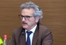 Energia, Felici (Mase): “Puntare su più fonti, non su un’unica soluzione per la decarbonizzazione”