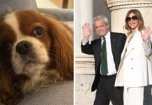 Fagnani e Mentana, addio alla cagnolina Bice: “Il dolore è profondo”