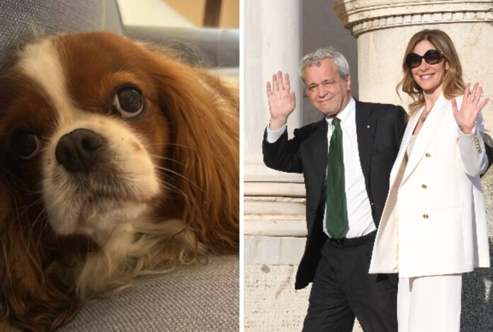 Fagnani e Mentana, addio alla cagnolina Bice: “Il dolore è profondo”