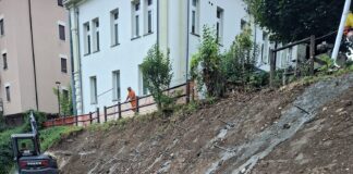 Bacchiglione, partono i lavori sugli argini: investimento regionale da 1,2 milioni di euro Bacchiglione