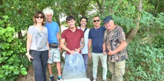 Gruppo Cap, 2.500 alborelle cresciute nel depuratore di Canegrate tornano nei fiumi lombardi