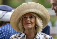 I Cazalet e il Conte di Montecristo, Camilla rivela i suoi libri preferiti