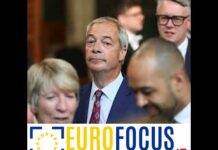I milioni a Farage e il prezzo della politica anti-élite