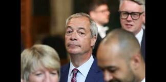 I milioni a Farage e il prezzo della politica anti-élite