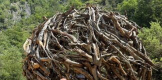 A Pedemonte nasce un nuovo itinerario tra cascate e land art: ecco “Il Nido” di Marco Martalar Sentieri delle Cascate