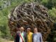 A Pedemonte nasce un nuovo itinerario tra cascate e land art: ecco “Il Nido” di Marco Martalar Sentieri delle Cascate