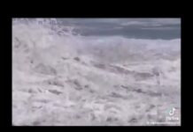 Il giovane baywatch salva un ragazzo tra le onde del Pacifico – Video