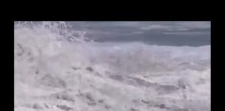 Il giovane baywatch salva un ragazzo tra le onde del Pacifico – Video