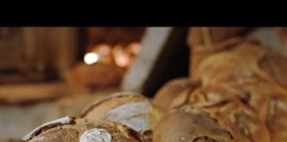 Il pane di Oropan sulla via della sostenibilità arriva in 26 paesi del mondo