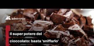 Il super potere del cioccolato: basta ‘sniffarlo’ per allenarsi meglio