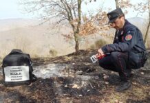 Incendi, Carabinieri Forestali: “98% causati dall’uomo, in primi 6 mesi 3800 ettari bruciati”