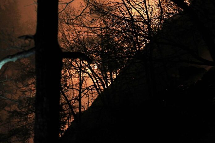 Incendi, Vigili del fuoco al lavoro dal Piemonte al Sud: “Bruciati +15% ettari rispetto a scorso anno”