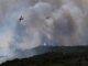 Incendi in Europa, emergenza in Francia e in Spagna: nei Pirenei bruciati 1.500 ettari