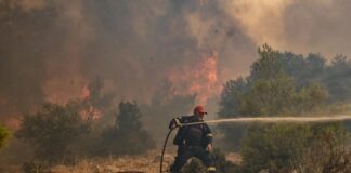 Incendio a Creta, morti due vigili del fuoco