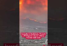 Incendio in Andalusia, 11 morti e 19 dispersi: alcune vittime trovate nelle auto