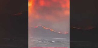 Incendio in Andalusia, 11 morti e 19 dispersi: alcune vittime trovate nelle auto
