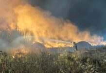 Infermo di fuoco a Maracalagonis, incendio domato: il post della sindaca