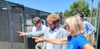 Nuovo tetto per il canile di Gogna, investimento da 75mila euro: un appello alle adozioni Canile di Gogna