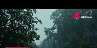 Maltempo devasta ettari di coltivazioni nel Centro-Nord