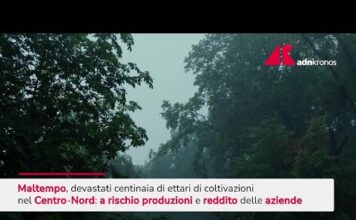Maltempo devasta ettari di coltivazioni nel Centro-Nord