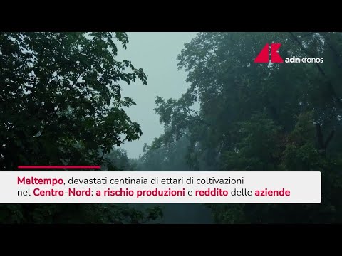 Maltempo devasta ettari di coltivazioni nel Centro-Nord