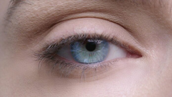 Mascara, l'effetto Mascara, l'effetto