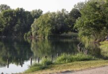 Milano, violentata mentre fa jogging al parco: si salva mordendo l’aggressore, arrestato 26enne