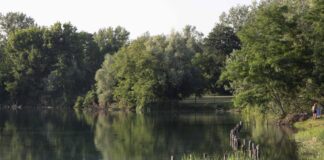 Milano, violentata mentre fa jogging al parco: si salva mordendo l’aggressore, arrestato 26enne