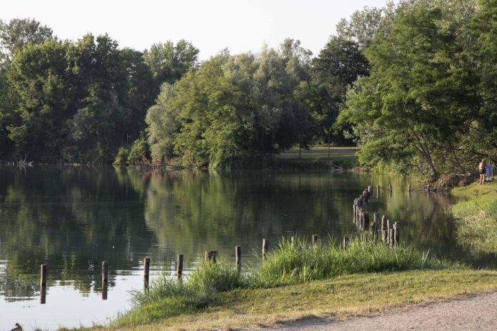 Milano, violentata mentre fa jogging al parco: si salva mordendo l’aggressore, arrestato 26enne