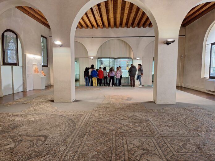 Mosaico Romano al Museo Naturalistico Archeologico di Vicenza centri estivi