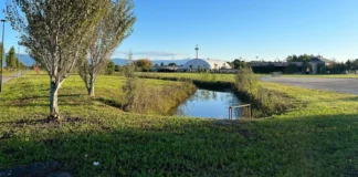 VIcenza, Parco della Pace candidato all’European Prize for Urban Public Space Parco della Pace Vicenza
