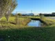 Articolo 11 e pace, sabato a Vicenza il confronto su Costituzione e diritto internazionale Parco della Pace Vicenza