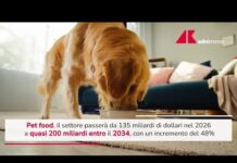 Pet food, previsto boom nel 2034: crescita 48% e 200 miliardi – Video