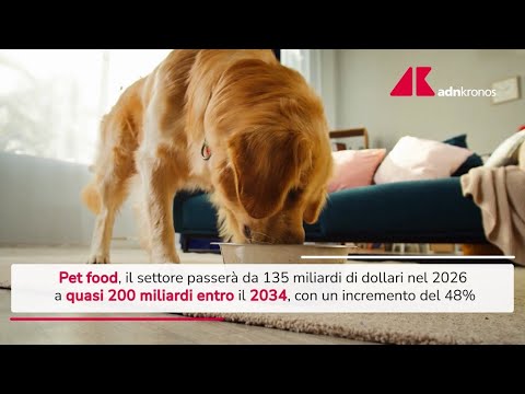 Pet food, previsto boom nel 2034: crescita 48% e 200 miliardi – Video