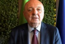 Pichetto a Federmanager: “Necessaria capacità visione da parte di chi ha esperienza manageriale”