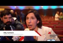 Pmi: Schlein (Pd), ‘Energia, investimenti e salari: così rilanciamo la competitività’
