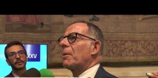 Previdenza: Fava (Inps), ‘puntiamo su giovani e donne per sostenibilità sistema’