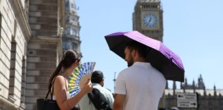 Regno Unito, caldo e siccità record: Londra teme gli incendi, temperature fino a 35 gradi
