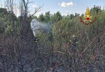 Roma, da via Pineta Sacchetti a Cinecittà: diversi incendi nella Capitale e dintorni