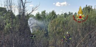 Roma, da via Pineta Sacchetti a Cinecittà: diversi incendi nella Capitale e dintorni