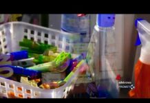 Sostenibilità, dal 12/8 il nuovo Regolamento europeo sugli imballaggi in plastica: cosa cambia