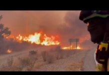 Spagna, incendio devastante in Andalusia: vigili del fuoco cercano di domare le fiamme