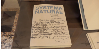 Otto pittori e otto poeti: a Vicenza arriva “Systema Naturae”, l’arte dialoga con la parola a Palazzo Cordellina Systema Naturae