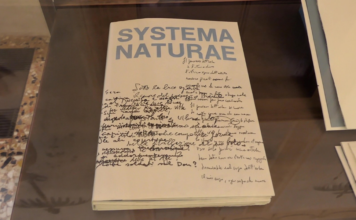 Otto pittori e otto poeti: a Vicenza arriva “Systema Naturae”, l’arte dialoga con la parola a Palazzo Cordellina Systema Naturae