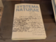 Otto pittori e otto poeti: a Vicenza arriva “Systema Naturae”, l’arte dialoga con la parola a Palazzo Cordellina Systema Naturae