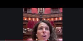Tech, Ai: Pastorella (Azione), ‘bene per Europa utilizzare barriere non tariffarie, ma non basta’