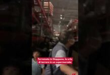 Terremoto in Giappone, le urla di terrore in un supermercato