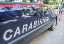 Treviso, bimba di 5 anni precipita dal quinto piano: è gravissima